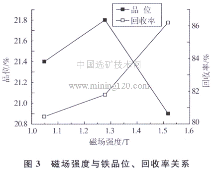 磁場強(qiáng)度與鐵品位、回收率關(guān)系